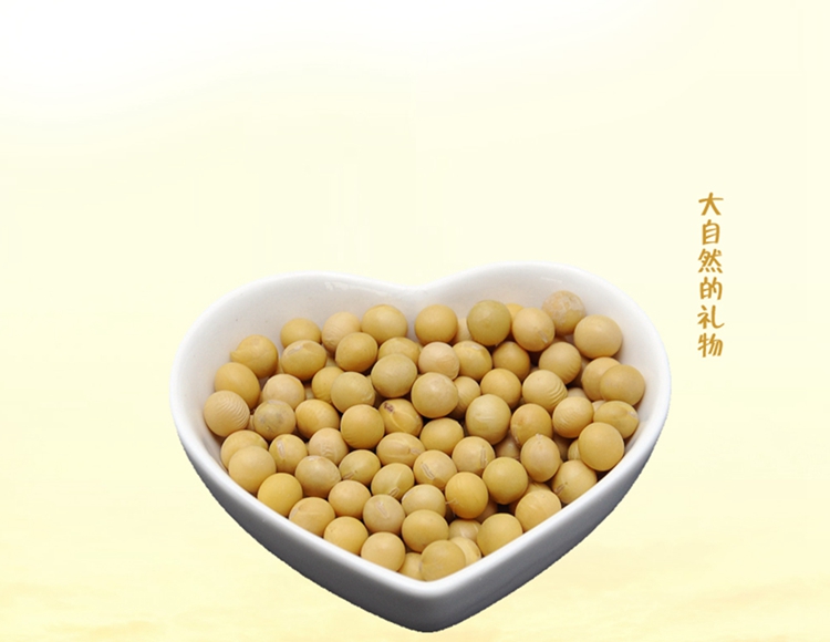  【北京馆】有机黄豆 500g/袋 生机庄园