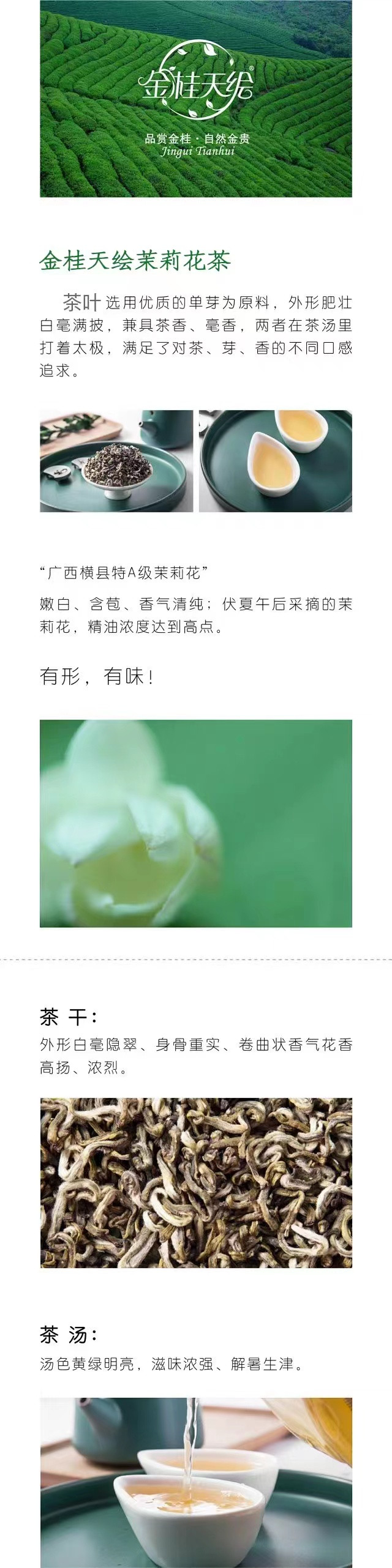  【北京馆】茉莉花茶 金桂天绘