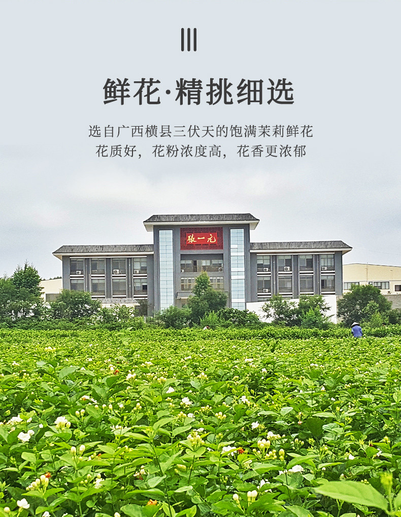  【北京馆】 张一元 传统茶礼茉莉花茶礼盒