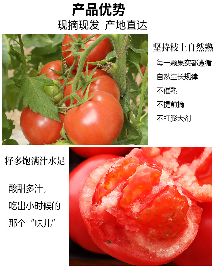  邮政农品 【北京优农】密之蓝天自然熟沙瓤西红柿