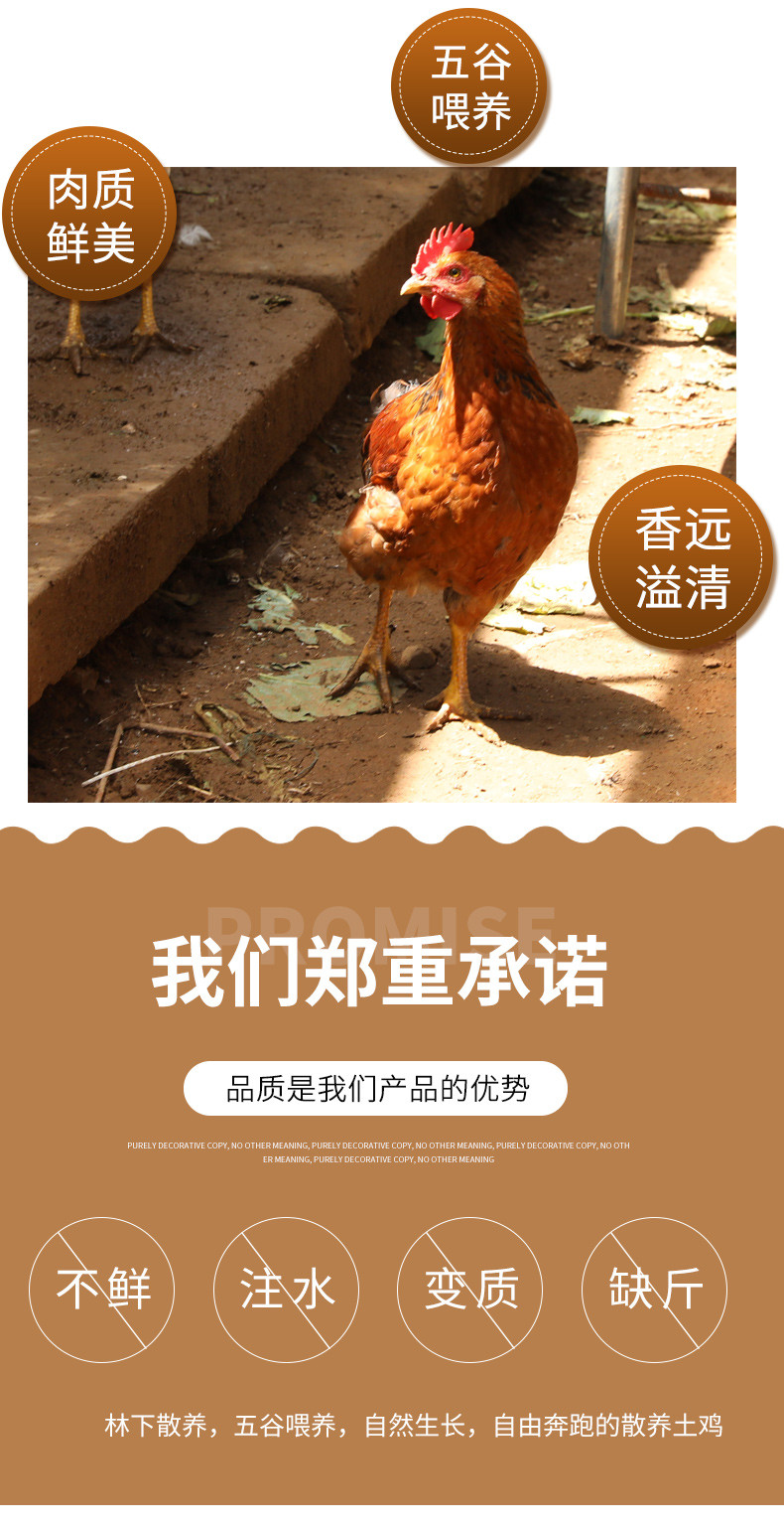  邮政农品 【北京优农】密之蓝天密云本地散养童子鸡