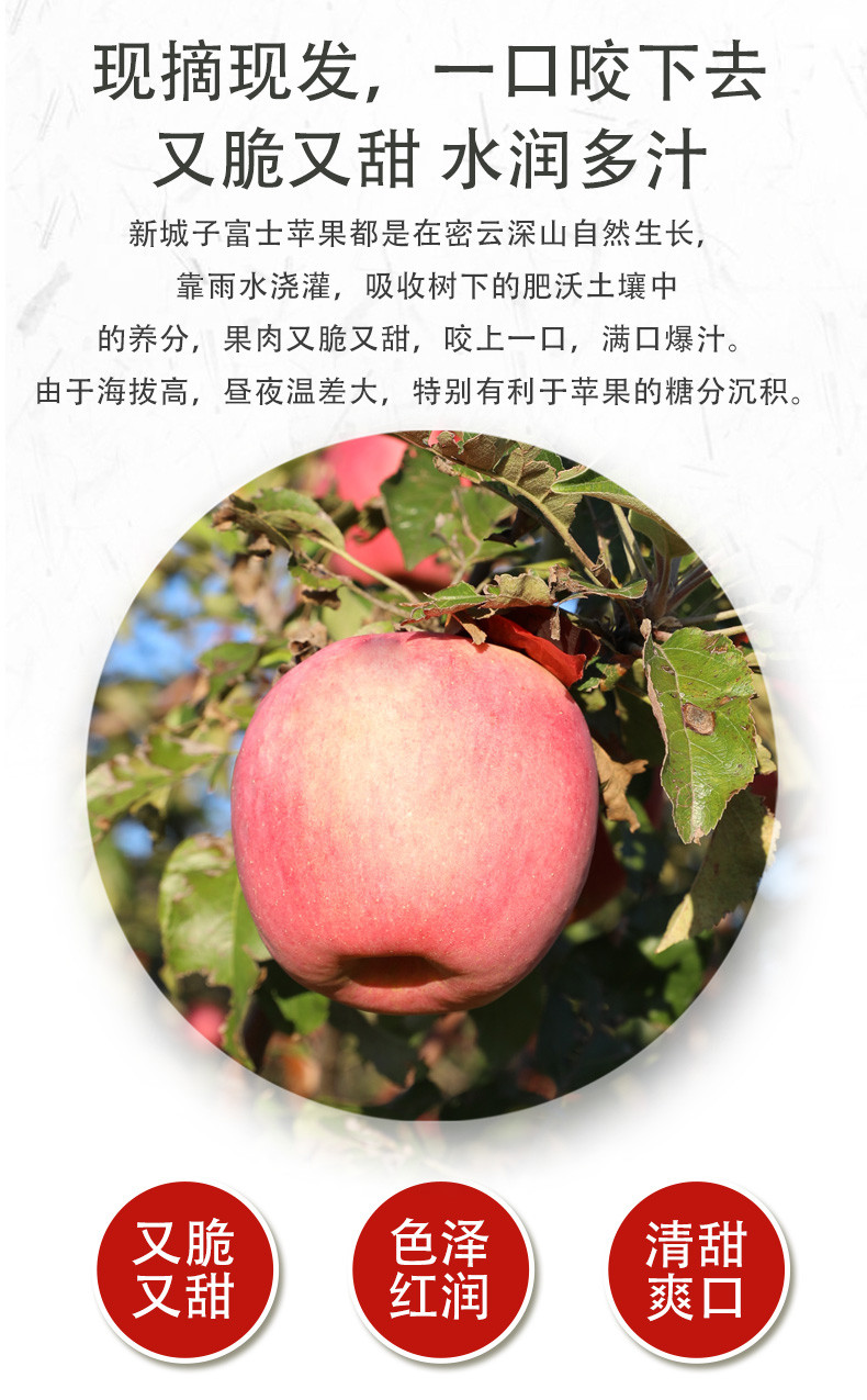  邮政农品 【北京优农】密之蓝天密云本地高山富士苹果