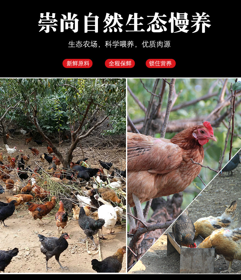 邮政农品 【北京优农】密之蓝天密云本地农家散养鸡胸肉 400g*3袋