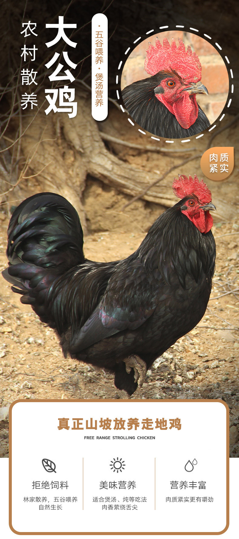  【北京优农】密之蓝天农家散养大公鸡1只  净重约3.5斤  邮政农品