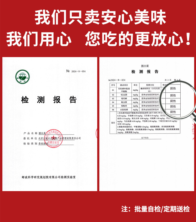  【北京优农】密之蓝天优选时令蔬菜12种约11斤  邮政农品