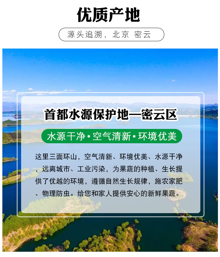  【北京】密之蓝天农家种植沙窝水果萝卜脆甜多汁2根约1500g  邮政农品