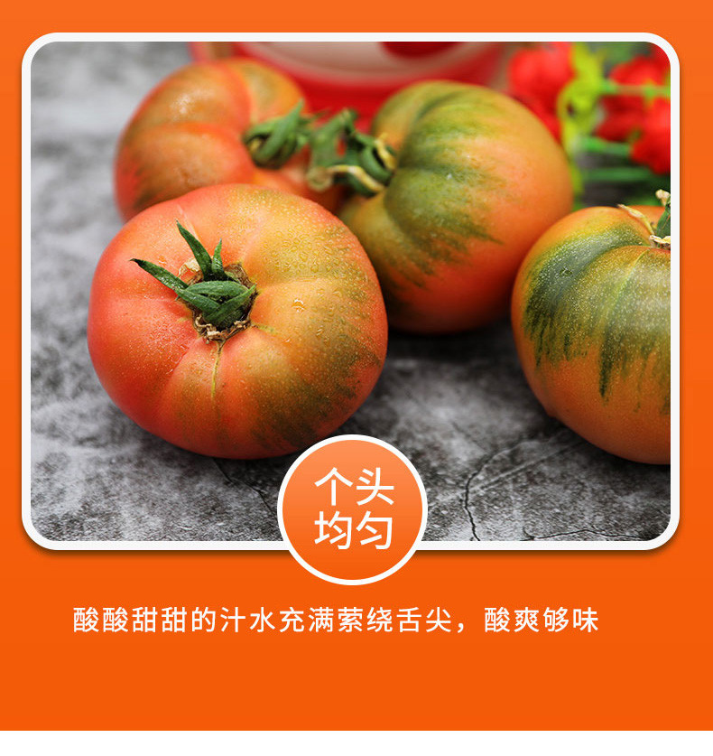  【北京优农】密之蓝天密云本地超级精彩番茄  邮政农品