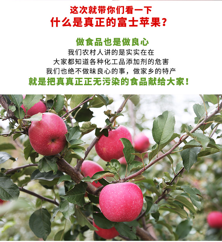 密水农家 【北京优农】密云自种山区富士苹果4斤