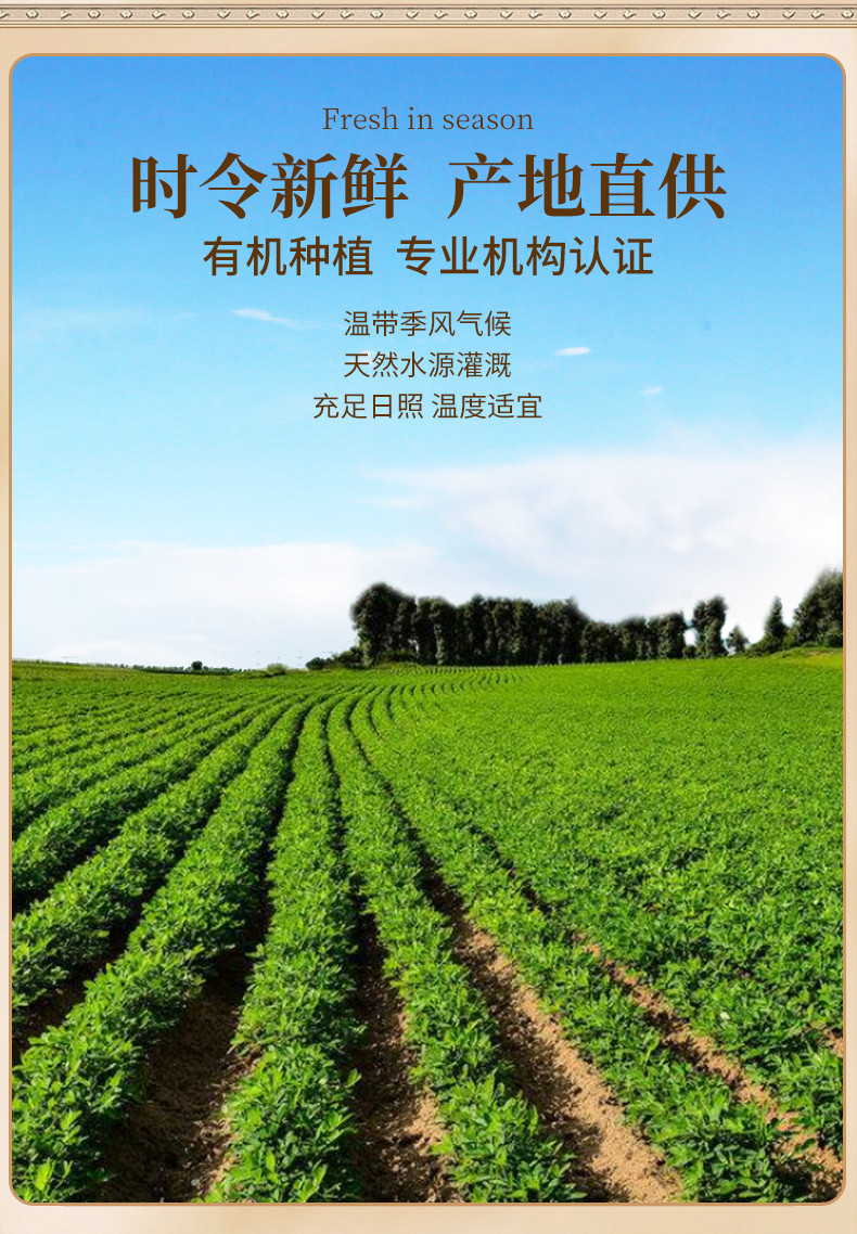  [北京馆] 裕道府 有机绿豆