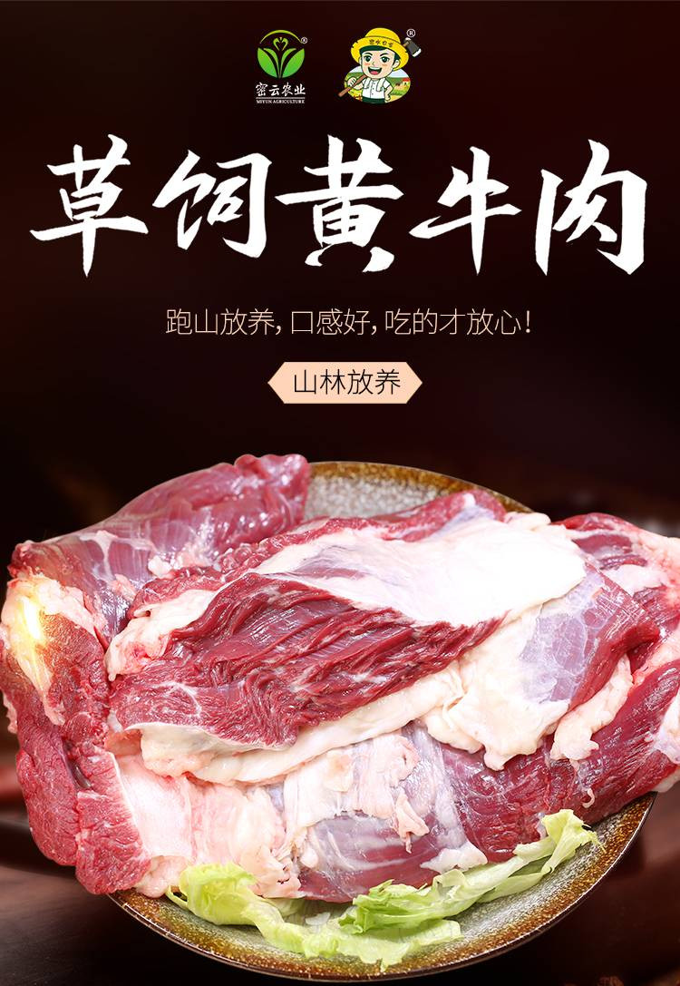 密水农家 【北京优农】原切谷饲新鲜精品牛腿肉1kg