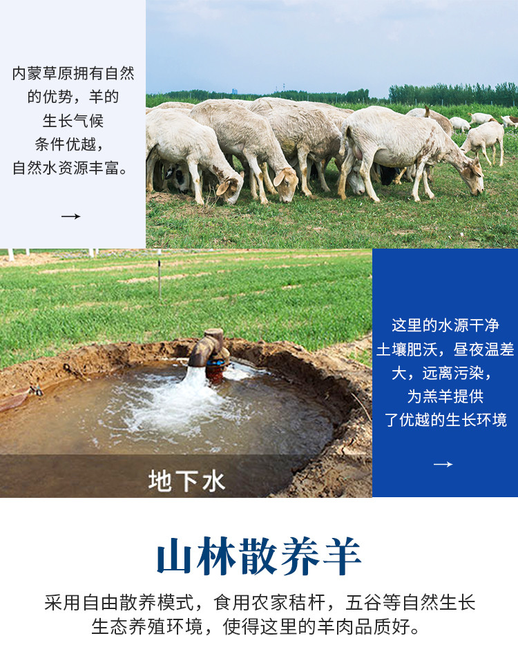密水农家 【北京优农】正宗内蒙新鲜鲜羊肉1kg