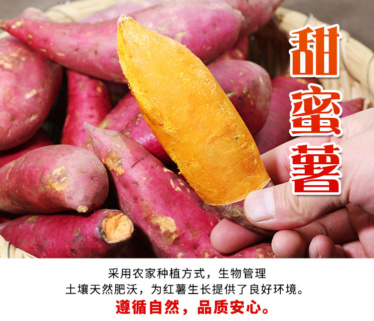 密水农家 【北京优农】密云农家新鲜沙地甜蜜红薯5斤