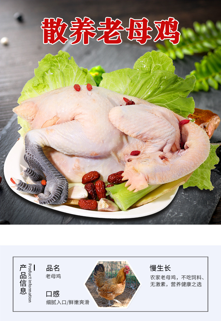 密水农家 【北京优农】跑山散养新鲜老母鸡