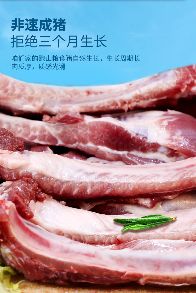 密水农家 【北京优农】跑山农家新鲜黑猪肋排3斤