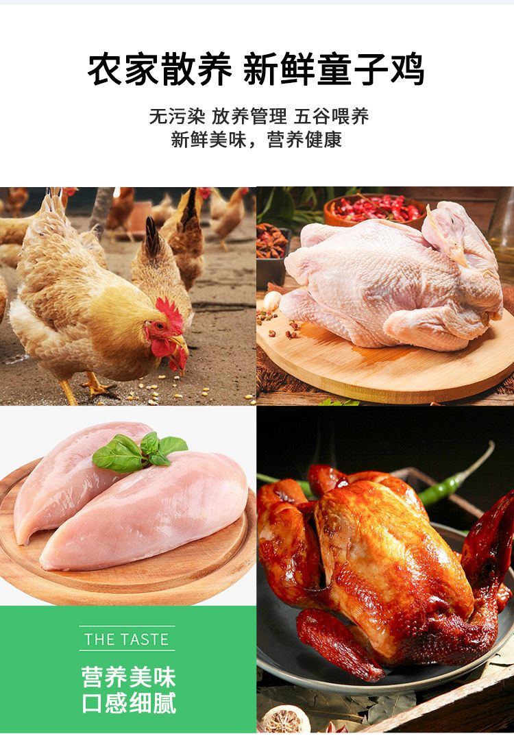 密水农家 【北京优农】跑山散养新鲜童子鸡