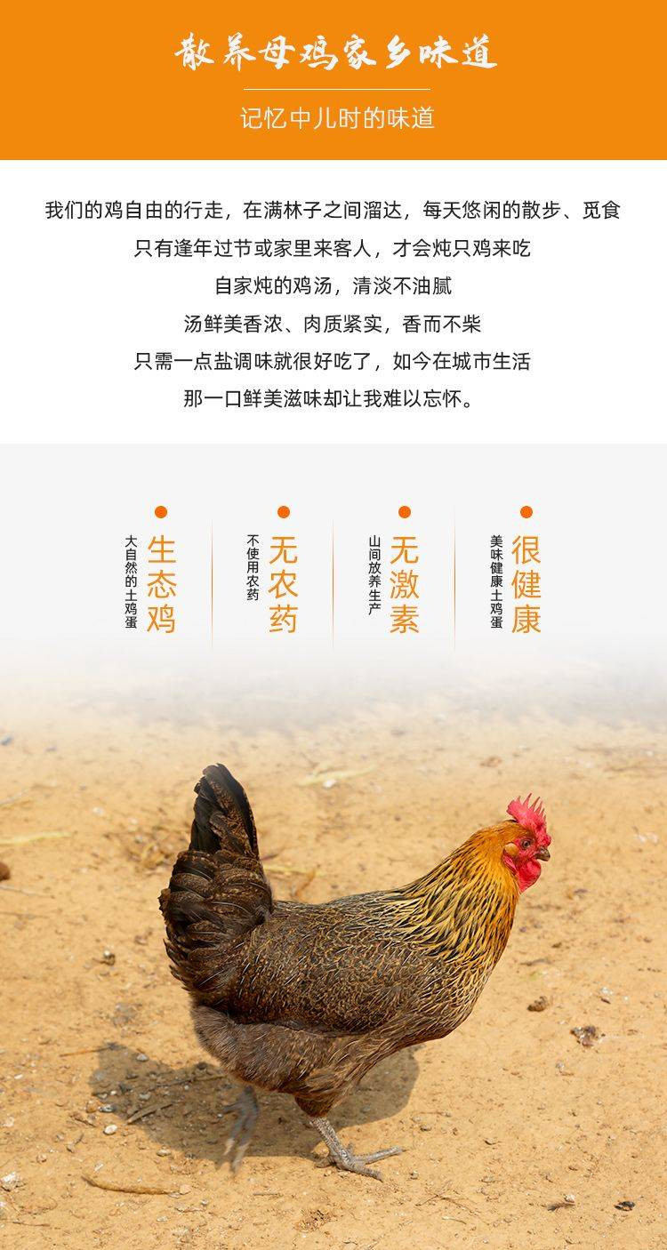 密水农家 【北京优农】正宗走地清远柴鸡