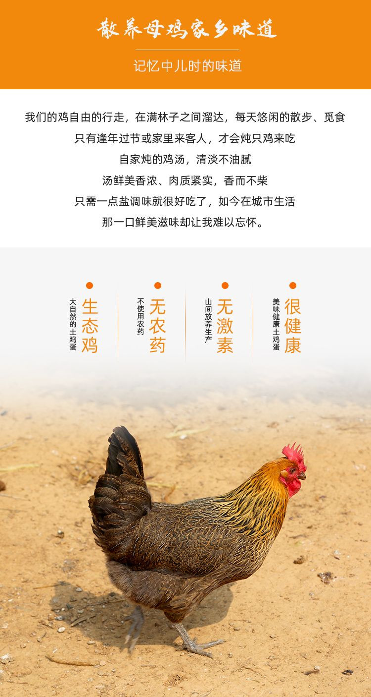 密水农家 【北京优农】跑山散养新鲜柴公鸡