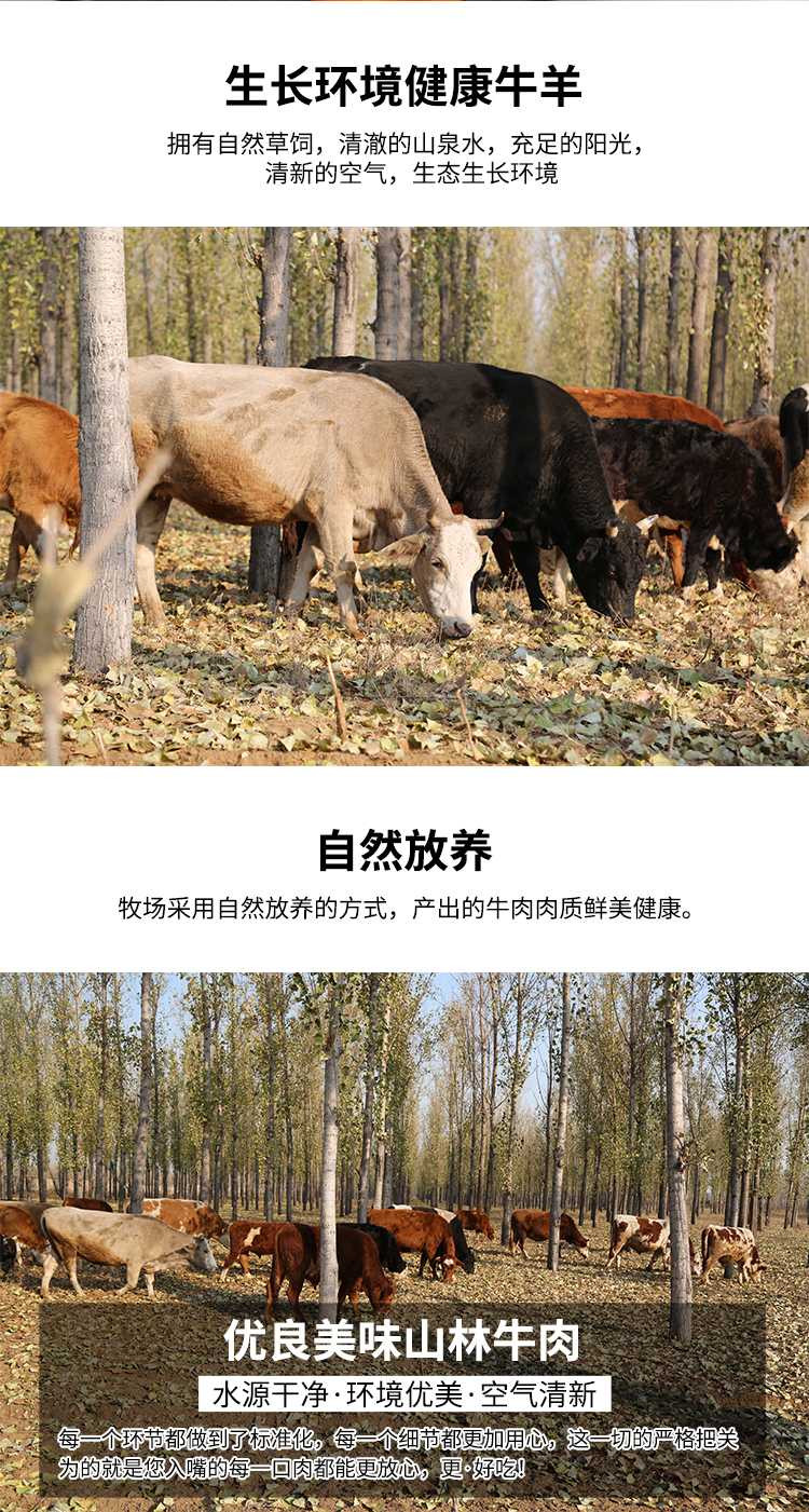 密水农家 【北京优农】原切谷饲新鲜精品牛尾骨1kg