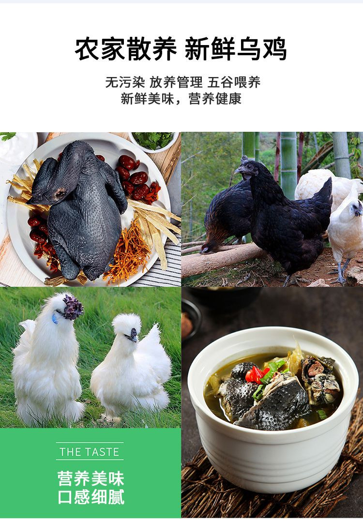 密水农家 【北京优农】跑山散养新鲜白凤乌骨鸡 乌鸡
