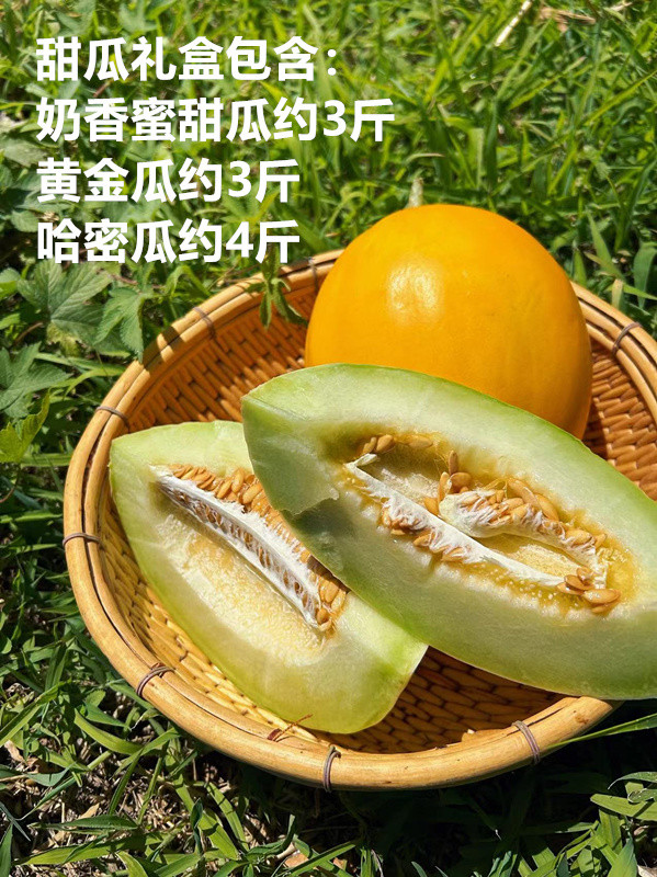 邮政农品 京农颐景园【北京优农】甜瓜礼盒