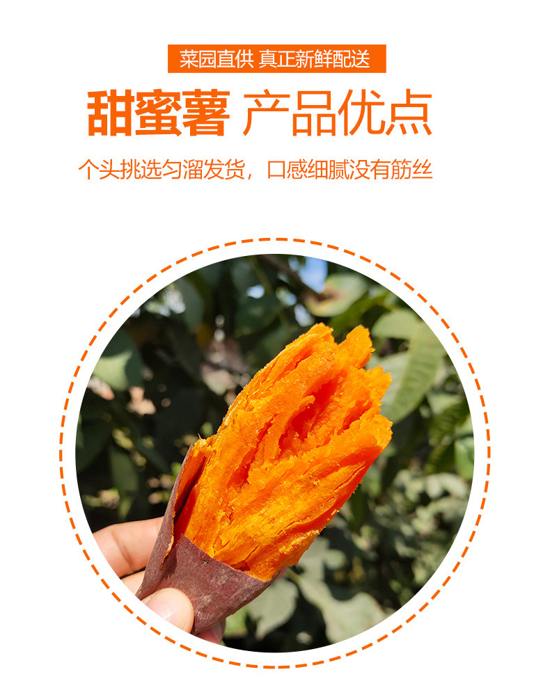  邮政农品 【北京优农】密云密之蓝天农家新鲜红薯带箱3000g