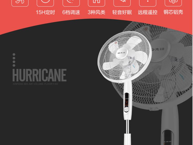 先锋 电风扇十叶柔风遥控落地扇飓风FS40-16ER家用静音电扇DD1605