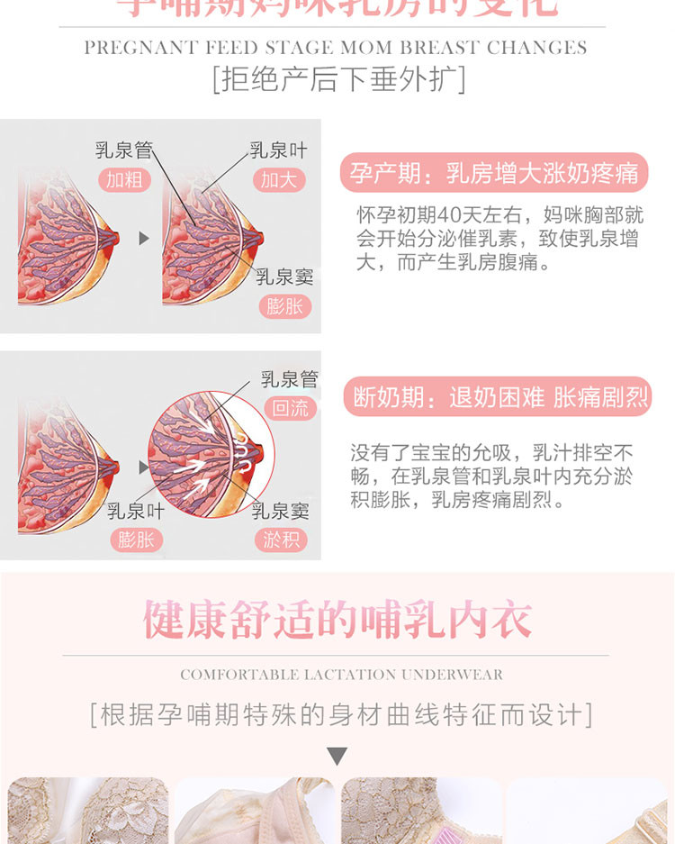 玫瑰艾柏妮 哺乳文胸孕妇内衣记忆钢圈薄款怀孕期聚拢防下垂哺喂奶纯棉胸罩A1787