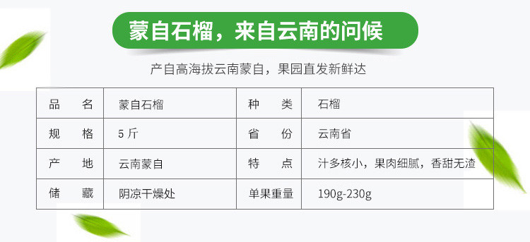 云南蒙自石榴5斤装