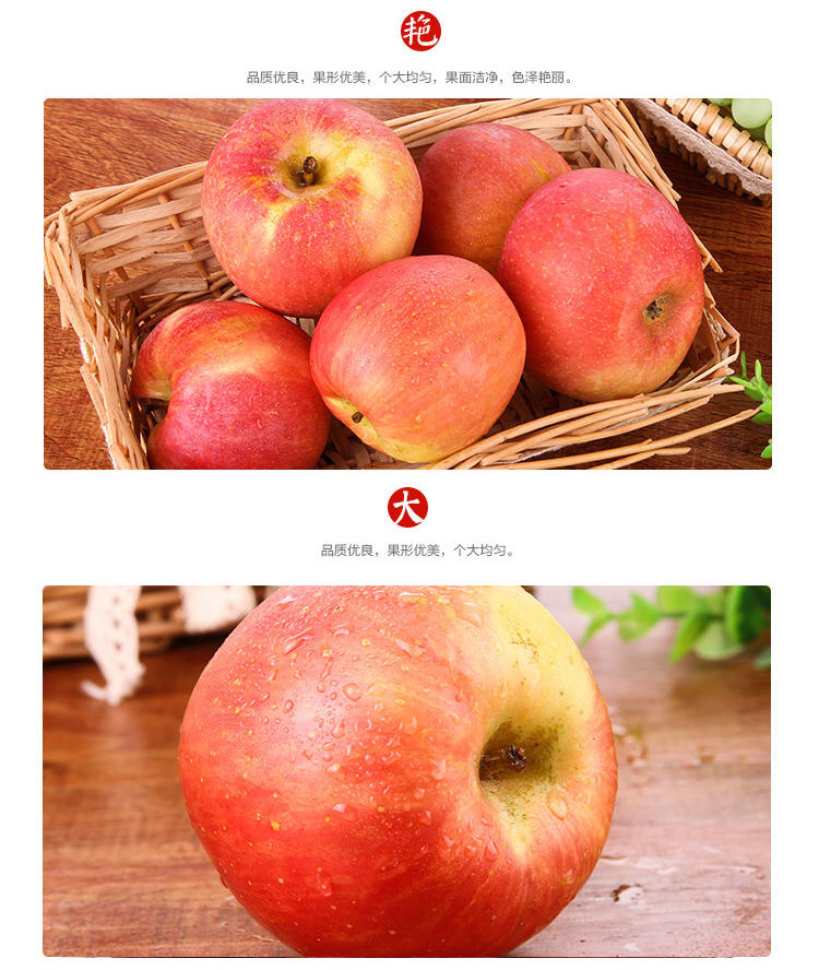 新疆阿克苏冰糖心苹果12个果礼盒装约重6.5-7斤顺丰包邮