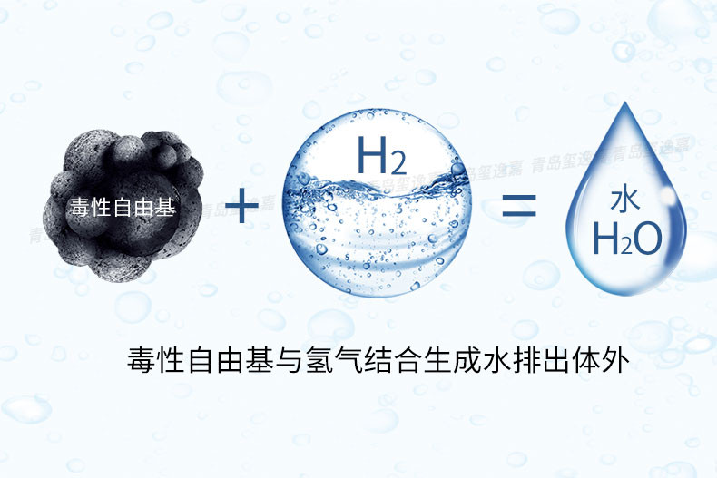 玺玺逸嘉智能氢氧机 氢氧混合吸氢机LM-HO600A