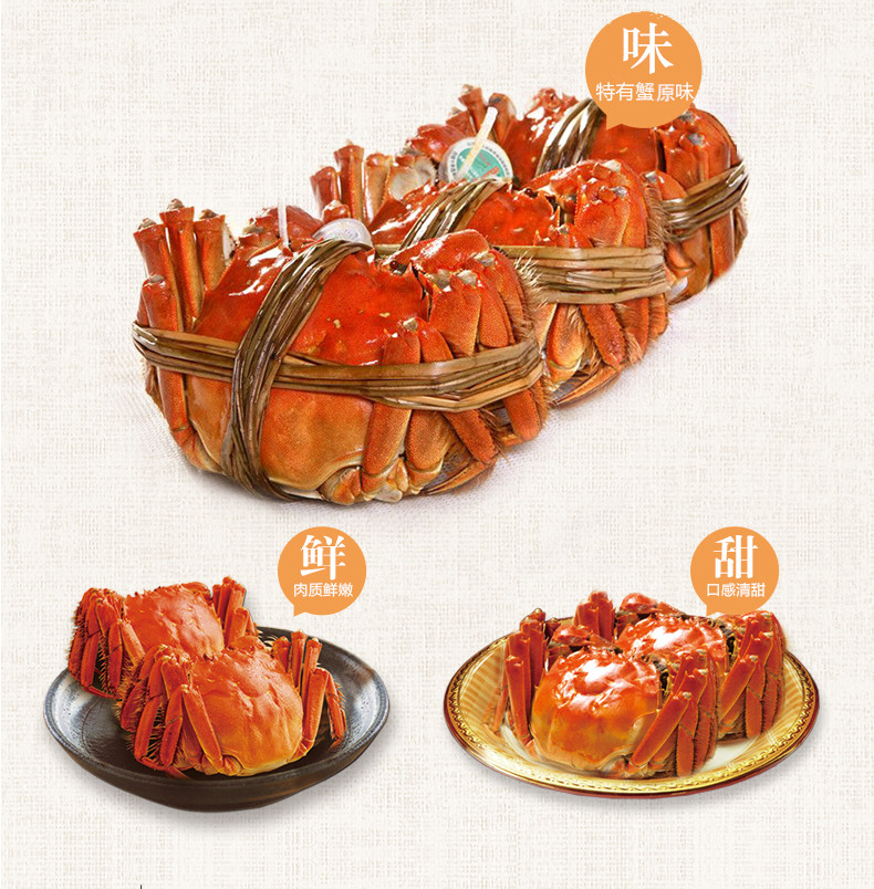 澄名牌 阳澄湖养殖基地大闸蟹 硬规格2.0-2.4两*4只母蟹 3.0-3.4两*4只公蟹