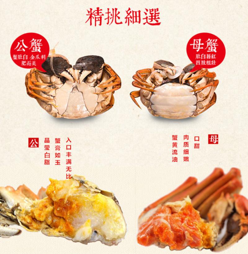 澄名牌 阳澄湖养殖基地大闸蟹 硬规格2.5-2.9两*5只母蟹 3.5-3.9两*5只公蟹