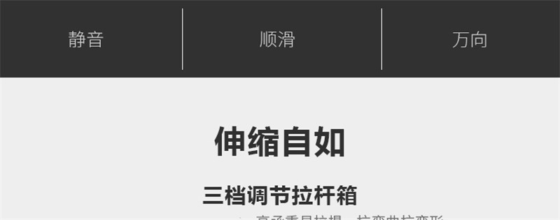 萨蒙斯新款时尚大容量24寸登机箱条纹旅行箱