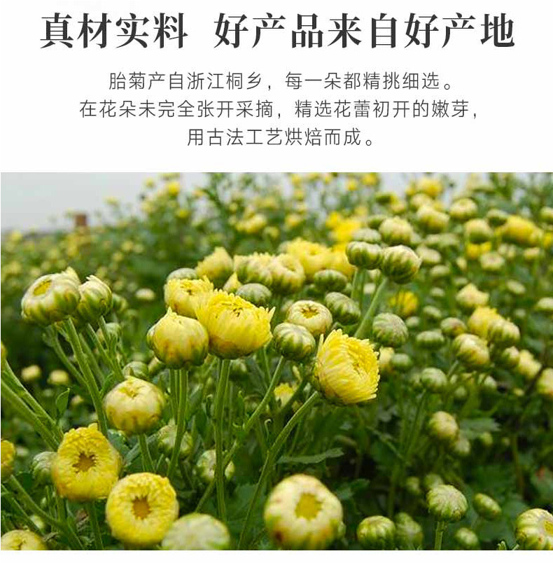 惠滋堂 胎菊 菊花茶 桐乡胎菊  杭白菊 50g