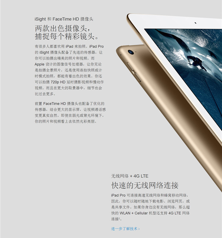 Apple/苹果 iPad Pro 12.9 英寸平板电脑 Wifi版 256GB 白/金/灰