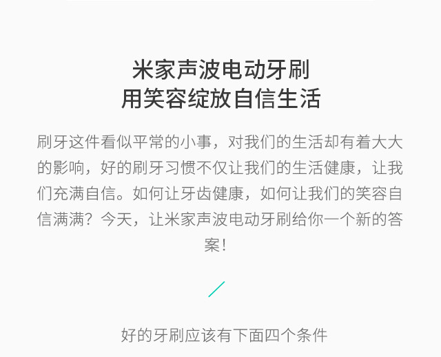 小米（MI）声波电动牙刷 成人米家充电式家用智能防水震动牙刷 米家电动牙刷