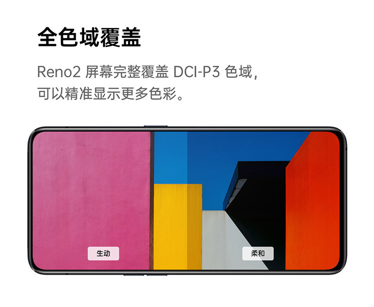 OPPO Reno2 4800万变焦四摄 视频防抖 6.5英寸阳光护眼全面屏 8GB+128GB