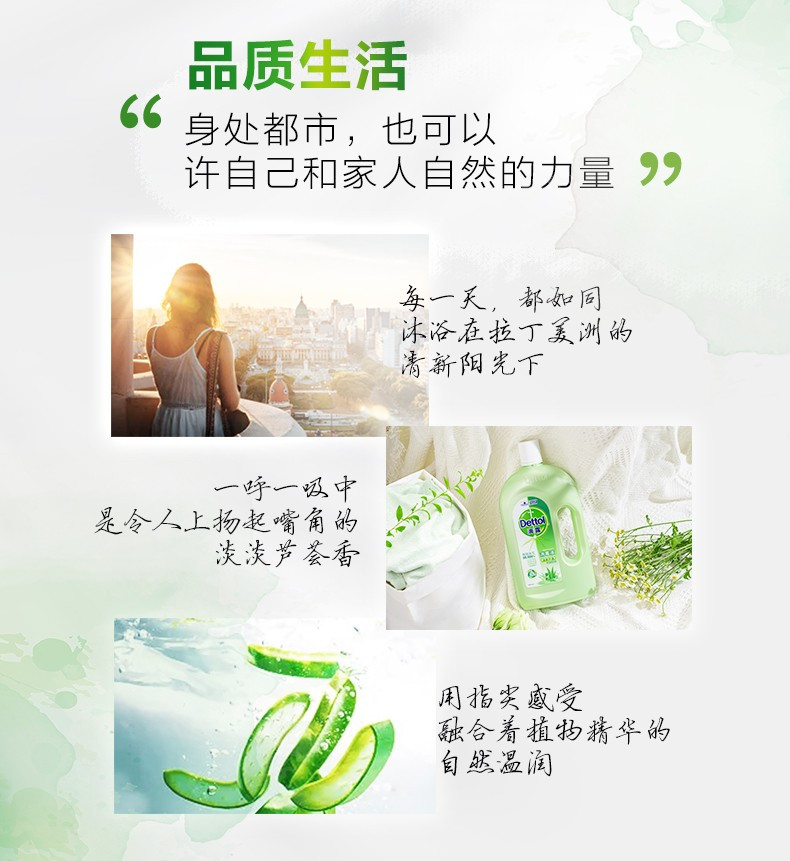 滴露（Dettol）消毒液 清新芦荟/松木杀菌除螨 家居室内