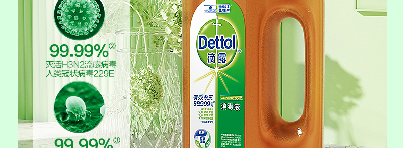 滴露/Dettol 消毒液1.2L 杀菌除螨 宠物环境消毒 消毒水 衣物除菌