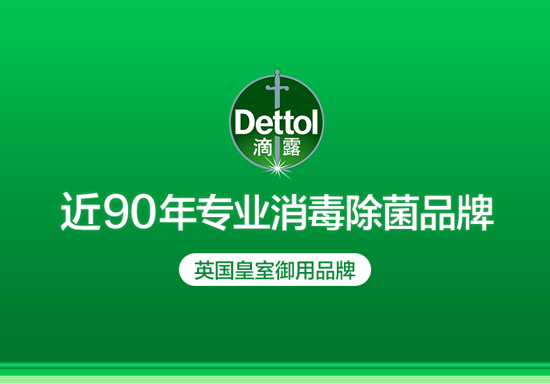 滴露/Dettol 消毒液1.2L 杀菌除螨 宠物环境消毒 消毒水 衣物除菌