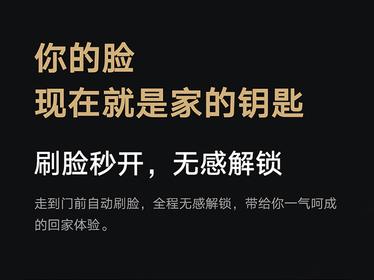 小米 人脸识别智能门锁 X 3D结构光人脸识别 C级锁芯 指纹锁电子锁密码锁防盗门锁