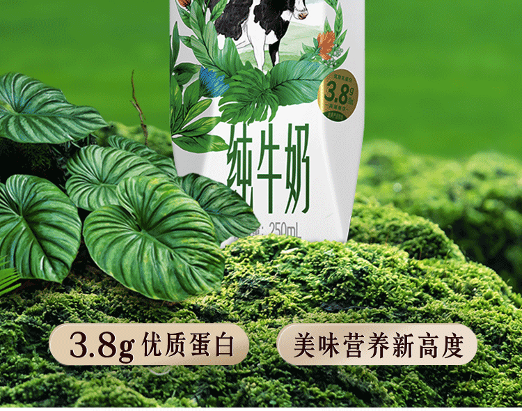 伊利 金典纯牛奶梦幻盖250ml*10盒 3.8g乳蛋白 口感醇香 高端礼盒装