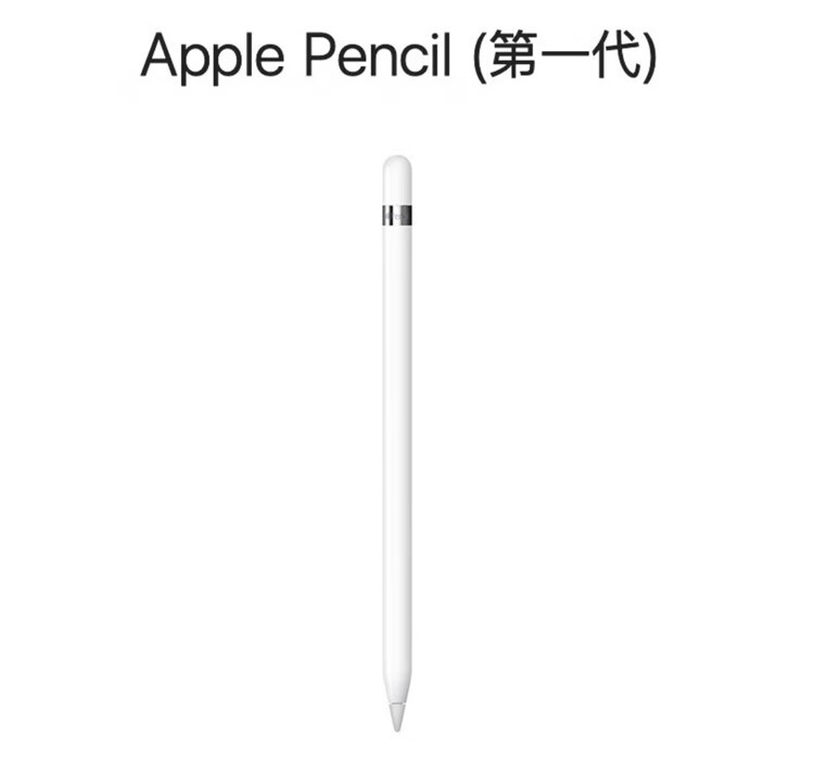 苹果/APPLE Pencil一代手写笔 适用2021/2020款10.2英寸iPad/2019款