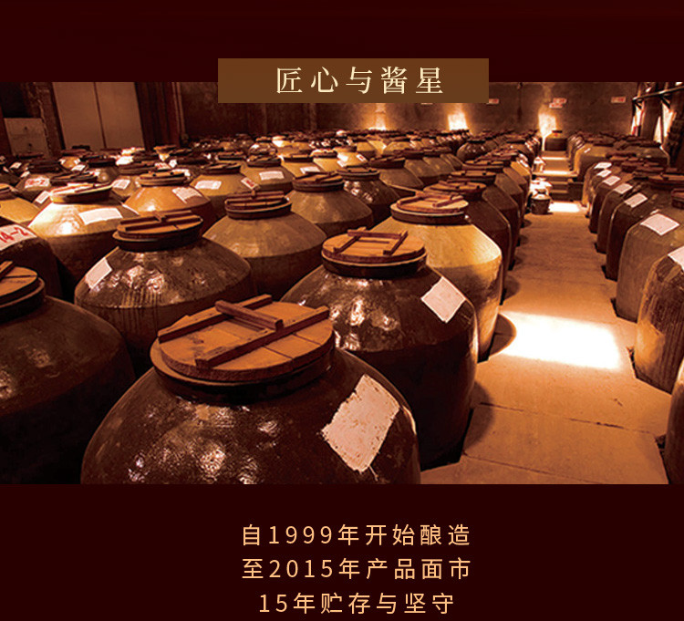 五粮液股份公司 15酱(限量版) 53度 500ml 酱香型 白酒