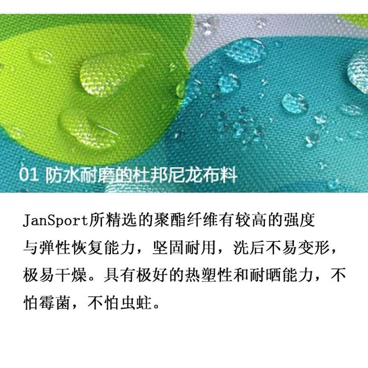 JanSport杰斯伯 SuperBreak超级叛逆校园双肩书包背包学生旅行双肩包T501 ZG3