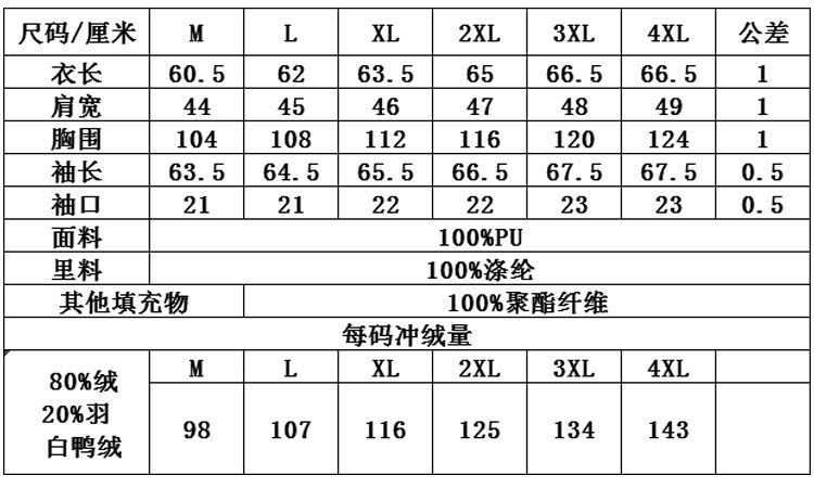 洋湖轩榭2019新款户外男士羽绒服运动短款修身加厚青年棒球领羽绒衣