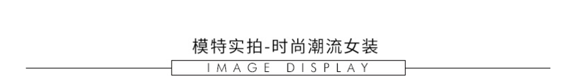 施悦名 2019秋季新款圆领蝙蝠喇叭袖凌形宽松大码爆款套头针织衫毛衣上衣