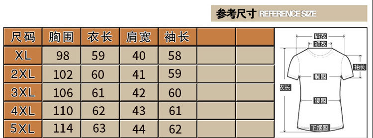 洋湖轩榭 中老年女装夏装中袖时尚小衫两件套妈妈夏装荷叶袖雪纺套装A