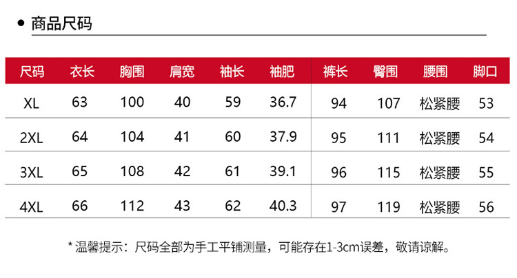 洋湖轩榭 妈妈春秋棉麻长袖套装40岁50中老年女装开衫衬衣中年绣花两件套A