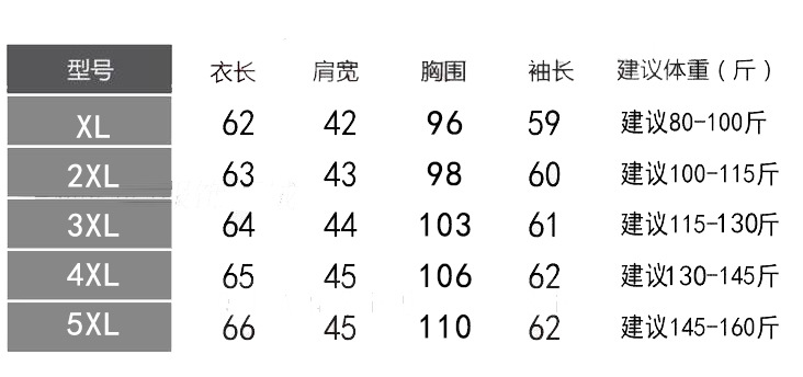 洋湖轩榭冬季新款女士棉衣轻薄羽绒棉服女短款修身中年棉衣女A